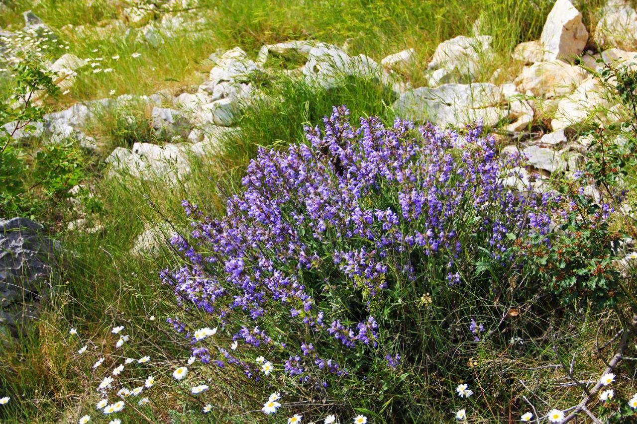 Villa Zlatno Sunce In The Hills Near Trogir Vrsine Exteriér fotografie