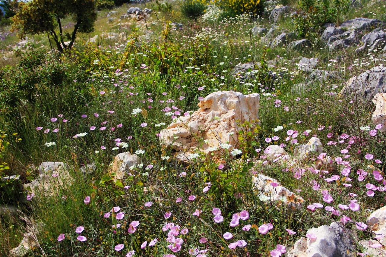 Villa Zlatno Sunce In The Hills Near Trogir Vrsine Exteriér fotografie